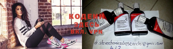 прущие грибы Осташков