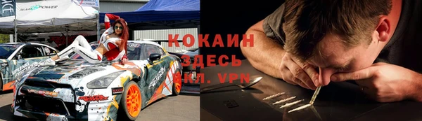прущие грибы Осташков