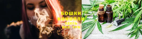 прущие грибы Осташков
