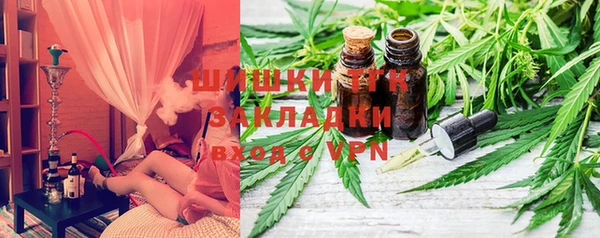 прущие грибы Осташков
