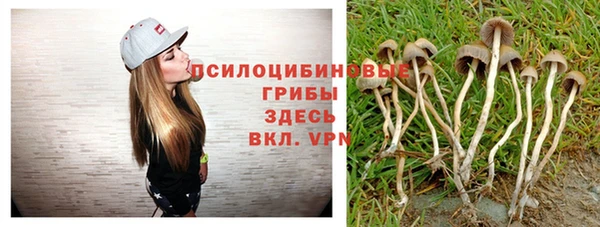 ешки Нягань