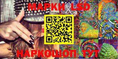 стафф Берёзовский