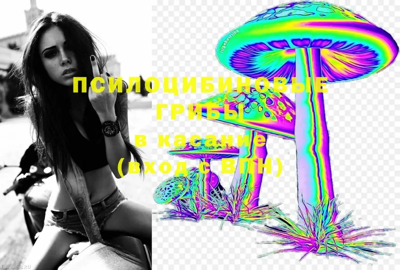 Псилоцибиновые грибы Cubensis Уфа