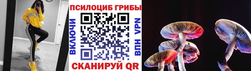 Галлюциногенные грибы Magic Shrooms  Уфа 