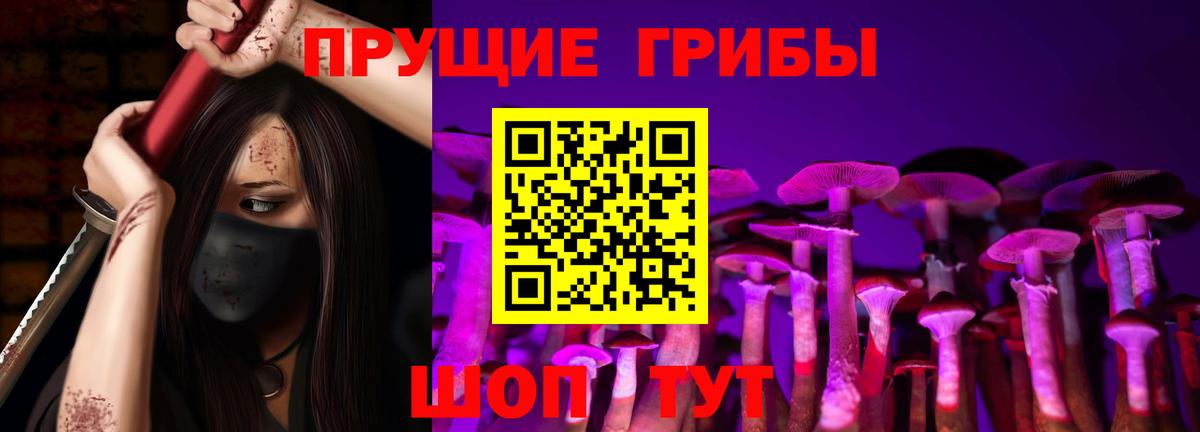 Уфа  сколько стоит  Вход с VPN  Псилоцибиновые грибы прущие грибы 